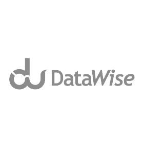 datawise